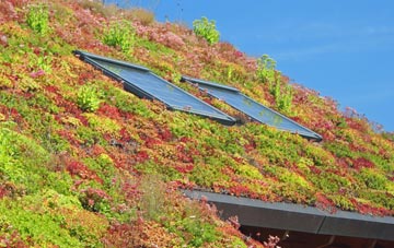 Clapham Park living roof systems
